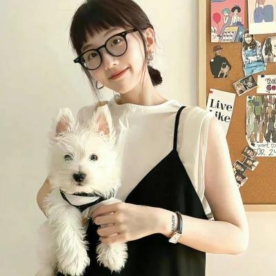 狄公灭鼠